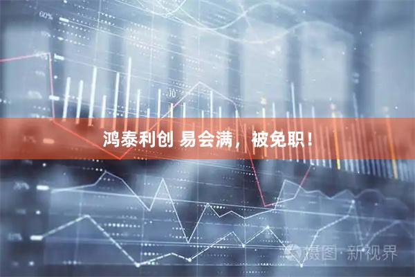 鸿泰利创 易会满，被免职！