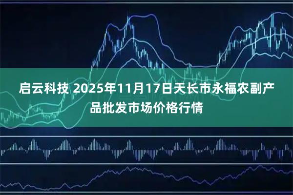 启云科技 2025年11月17日天长市永福农副产品批发市场价格行情