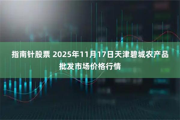 指南针股票 2025年11月17日天津碧城农产品批发市场价格行情