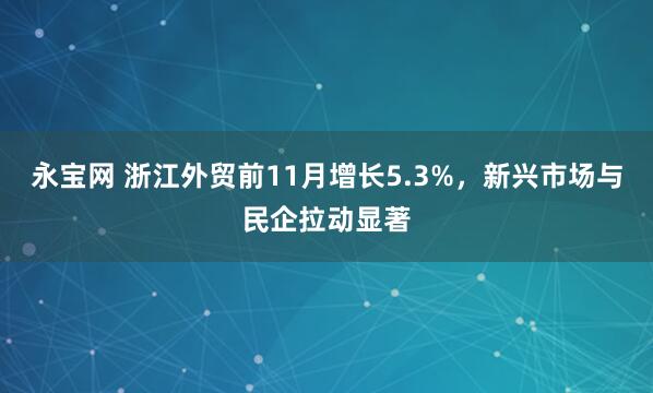 永宝网 浙江外贸前11月增长5.3%，新兴市场与民企拉动显著