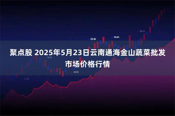 聚点股 2025年5月23日云南通海金山蔬菜批发市场价格行情