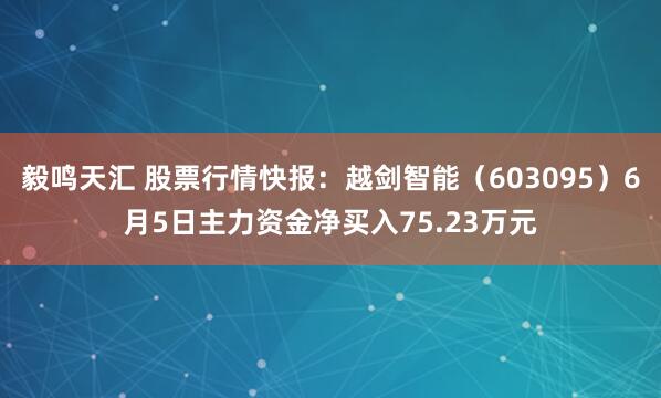 毅鸣天汇 股票行情快报：越剑智能（603095）6月5日主力资金净买入75.23万元