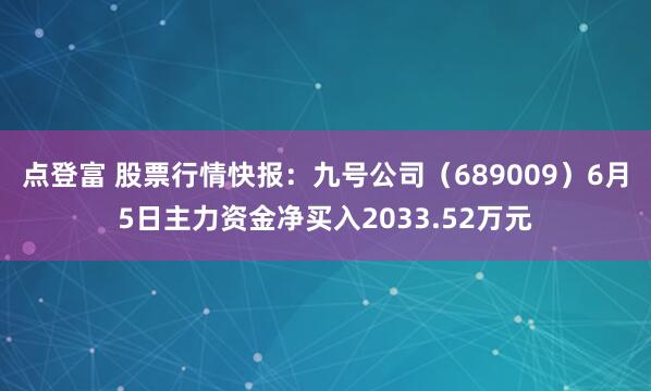 点登富 股票行情快报：九号公司（689009）6月5日主力资金净买入2033.52万元